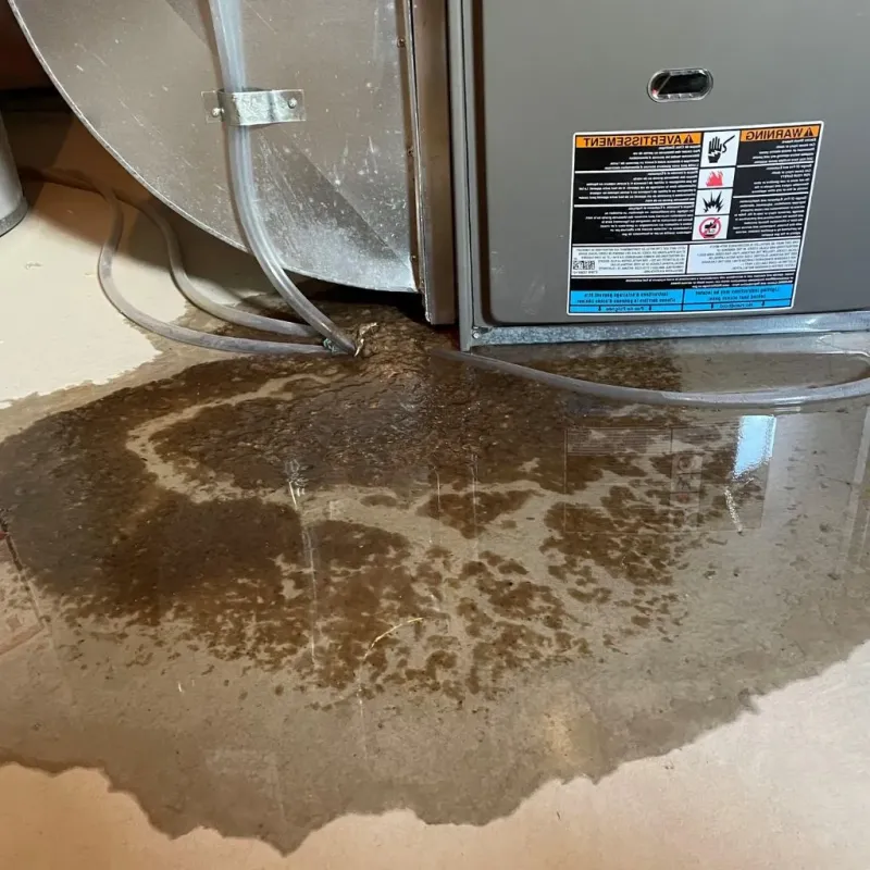 Pipe Burst and Leak Restoration in Lumpkin, GA