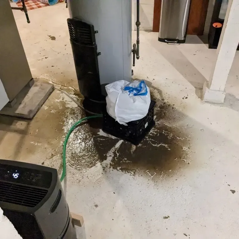 Sewage Backup Cleanup Service in Lumpkin, GA